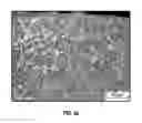Fig. 05 - Iron-based composition for fuel element