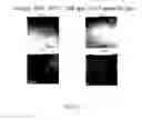 Fig. 16 - Iron-based composition for fuel element