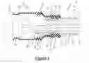 Fig. 02 - Wire harness, electrical wire protector, and electrical wire holder