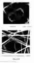 Fig. 06 - Method of producing supercapacitor electrodes and cells having high active mass loading