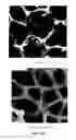 Fig. 09 - Method of producing supercapacitor electrodes and cells having high active mass loading