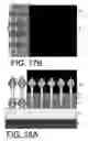 Fig. 18 - Stacked nanowire semiconductor device