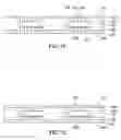 Fig. 13 - Semiconductor device package