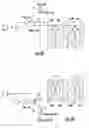 Fig. 11 - Two-transistor SRAM semiconductor structure and methods of fabrication