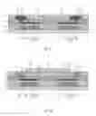 Fig. 07 - Method for manufacturing TFT substrate and structure thereof