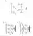 Fig. 02 - Memory arrays and methods of forming memory arrays