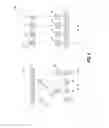 Fig. 04 - Memory arrays and methods of forming memory arrays