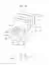Fig. 13 - Semiconductor device having asymmetrical source/drain