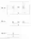 Fig. 02 - Fabrication process for mitigating external resistance of a multigate device