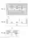 Fig. 05 - Fabrication process for mitigating external resistance of a multigate device