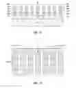 Fig. 06 - PERFECTLY SHAPED CONTROLLED NANOWIRES