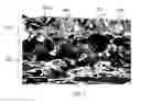 Fig. 08 - Solar cells and modules with fired multilayer stacks