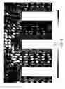 Fig. 108 - THREE-DIMENSIONAL OPTICAL DEVICES INCLUDING CAVITY-CONTAINING CORES AND METHODS OF MANUFACTURE