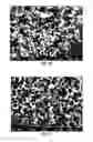 Fig. 21 - Porous silicon compositions and devices and methods thereof