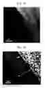 Fig. 10 - Lithium composite metallic oxide and production process for the same