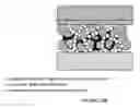 Fig. 21 - Solid state catholytes and electrolytes for energy storage devices