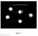 Fig. 04 - GROUP IVA FUNCTIONALIZED PARTICLES AND METHODS OF USE THEREOF