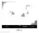 Fig. 09 - GROUP IVA FUNCTIONALIZED PARTICLES AND METHODS OF USE THEREOF