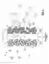 Fig. 02 - Nanocomposite electrode material for proton conducting fuel cell