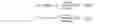 Fig. 04 - Hybrid electrochemical cell
