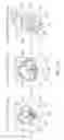 Fig. 37 - MULTIMODE ANTENNA STRUCTURE