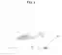 Fig. 03 - Semiconductor laser device