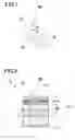 Fig. 02 - Vertical cavity light emitting device
