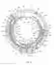 Fig. 09 - Stator unit, rotary electric machine including stator unit, and method of manufacturing stator unit