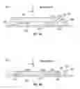 Fig. 03 - Methods and apparatus for capacitively detecting key motion and finger presence on keyboard keys