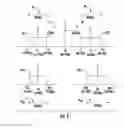Fig. 06 - Supporting distinct single-input single-output (SISO) services in a multiple-input multiple-output (MIMO) baseband circuit, particularly suited for a distributed antenna system (DAS)