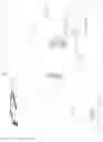 Fig. 33 - Transmitting method, transmitting apparatus, and program