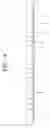 Fig. 08 - Transmitting apparatus and mapping method thereof