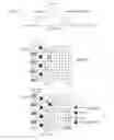 Fig. 09 - Method and communication apparatus for mapping reference signal in wireless communication system