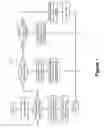 Fig. 08 - Encoding control plane information in transport protocol source port field and applications thereof in network virtualization