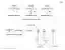 Fig. 01 - Providing link aggregation and high availability through network virtualization layer