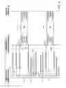 Fig. 04 - PARTIAL PREFETCHING OF INDEXED CONTENT