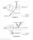 Fig. 24 - System and method for managing media in a distributed communication network