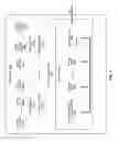 Fig. 04 - Load balanced network file accesses