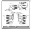 Fig. 01 - Low latency RDMA-based distributed storage