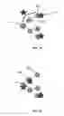 Fig. 05 - Method for managing packets in a network of information centric networking (ICN) nodes