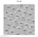 Fig. 07 - Pseudo halftone image processing using a threshold matrix to form dots not rotational symmetric on a 90 degree basis