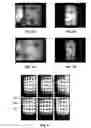 Fig. 06 - Pressurized fluid-submerged, internal, close-range photogrammetry system for laboratory testing