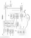 Fig. 09 - INTERNAL SIGNAL DIVERSION WITH CAMERA SHUTTERING FOR MOBILE COMMUNICATION DEVICES