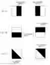 Fig. 03 - Solid-state imaging apparatus and light-shielding pixel arrangements thereof
