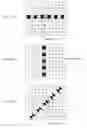 Fig. 16 - Solid-state imaging apparatus and light-shielding pixel arrangements thereof