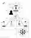 Fig. 07 - Apparatus and method for presenting three dimensional objects with telepresence