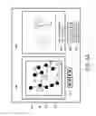 Fig. 08 - Real time virtual reality leveraging web cams and IP cams and web cam and IP cam networks