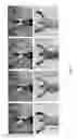 Fig. 07 - High-speed depth sensing with a hybrid camera setup