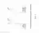 Fig. 06 - Universal video codec