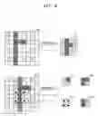 Fig. 07 - Method and apparatus for determining motion vector in video